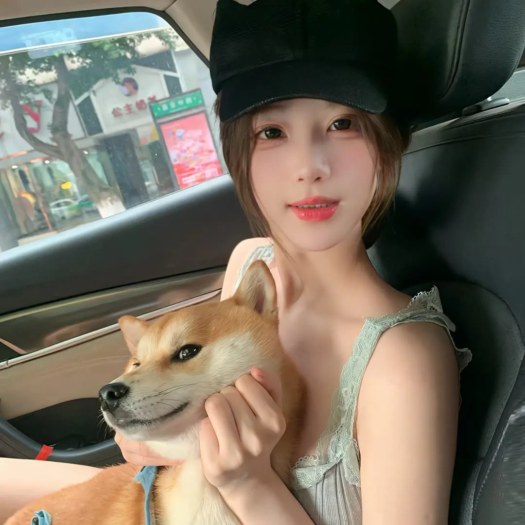 爱尔兰之愿